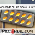 Anaconda Xl Pills Where To Buy cialis1